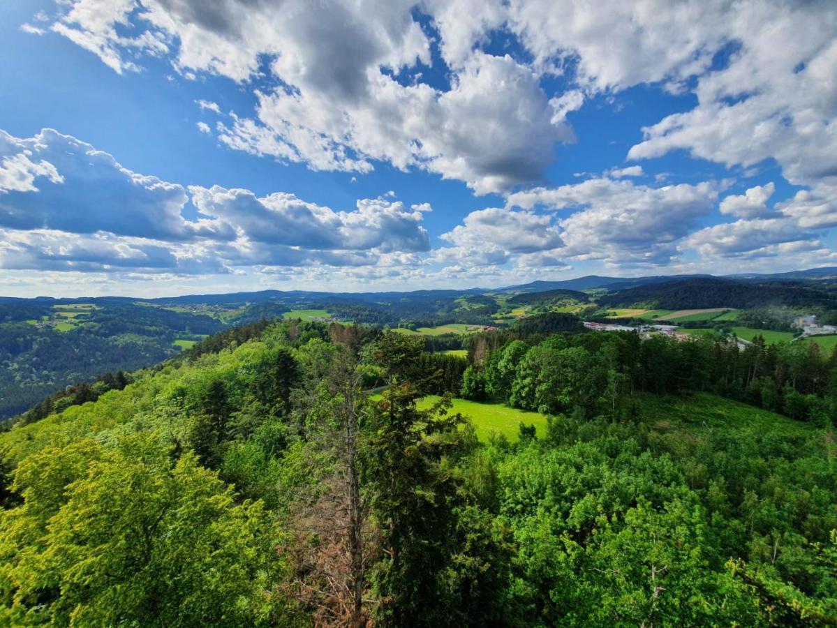 Haus Bergblick Apartment Mauth Luaran gambar